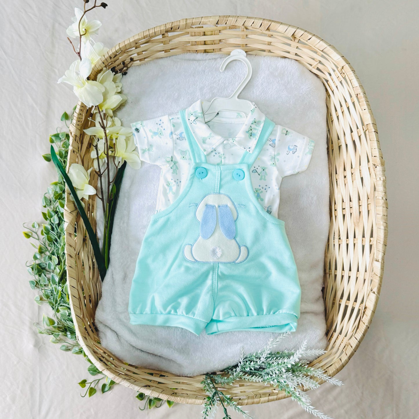Conjunto Oliver