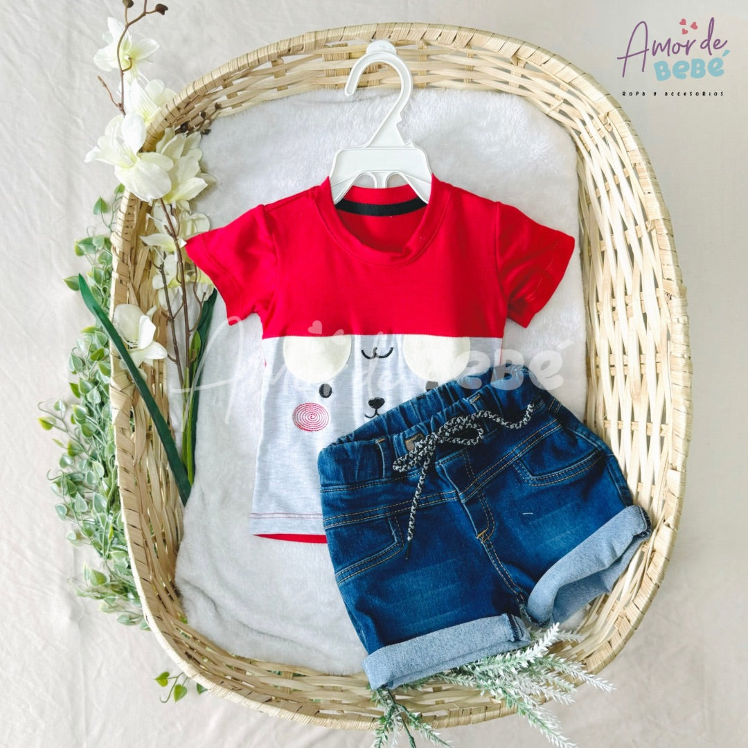 Conjunto Teo