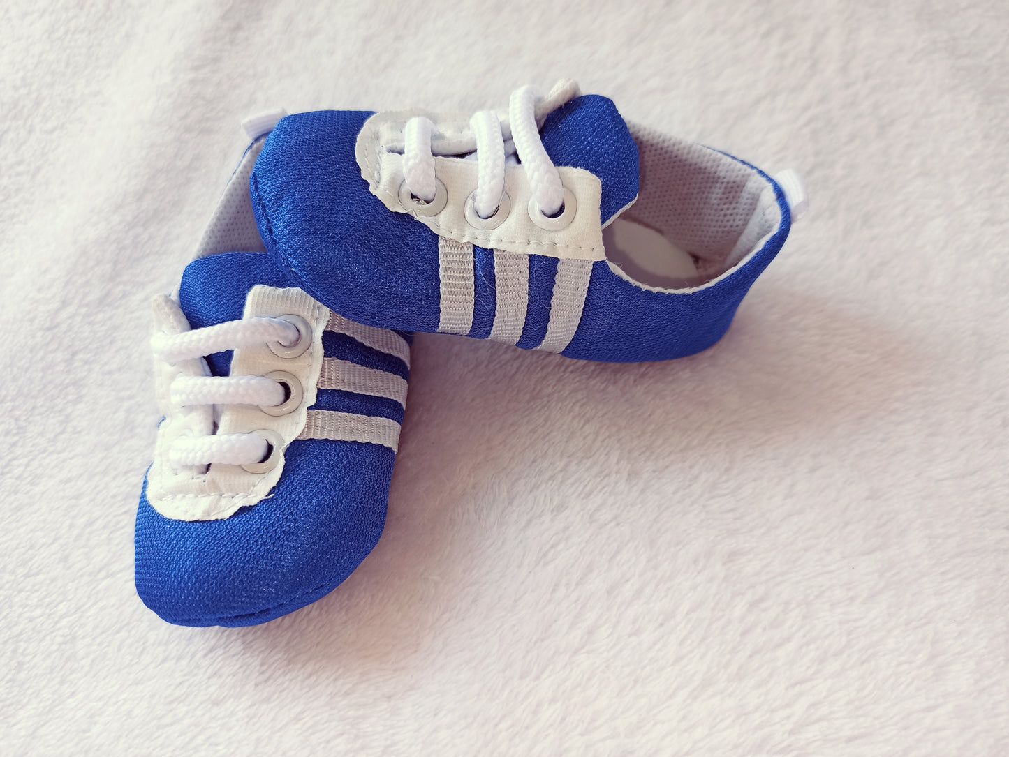 Zapato tommy
