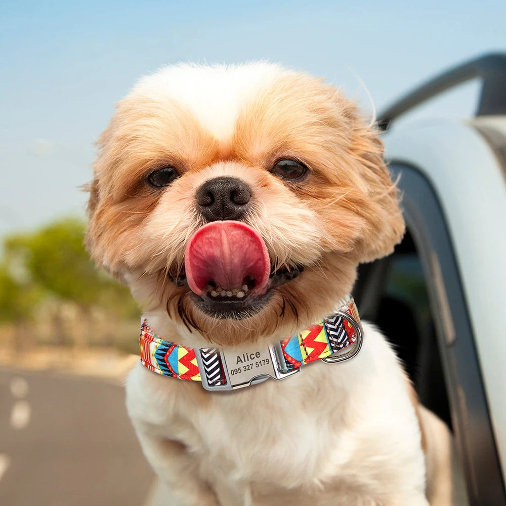 Personalized pet collar with beautiful print.