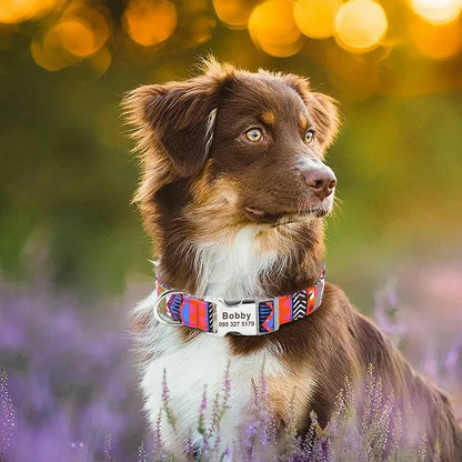 Personalized pet collar with beautiful print.