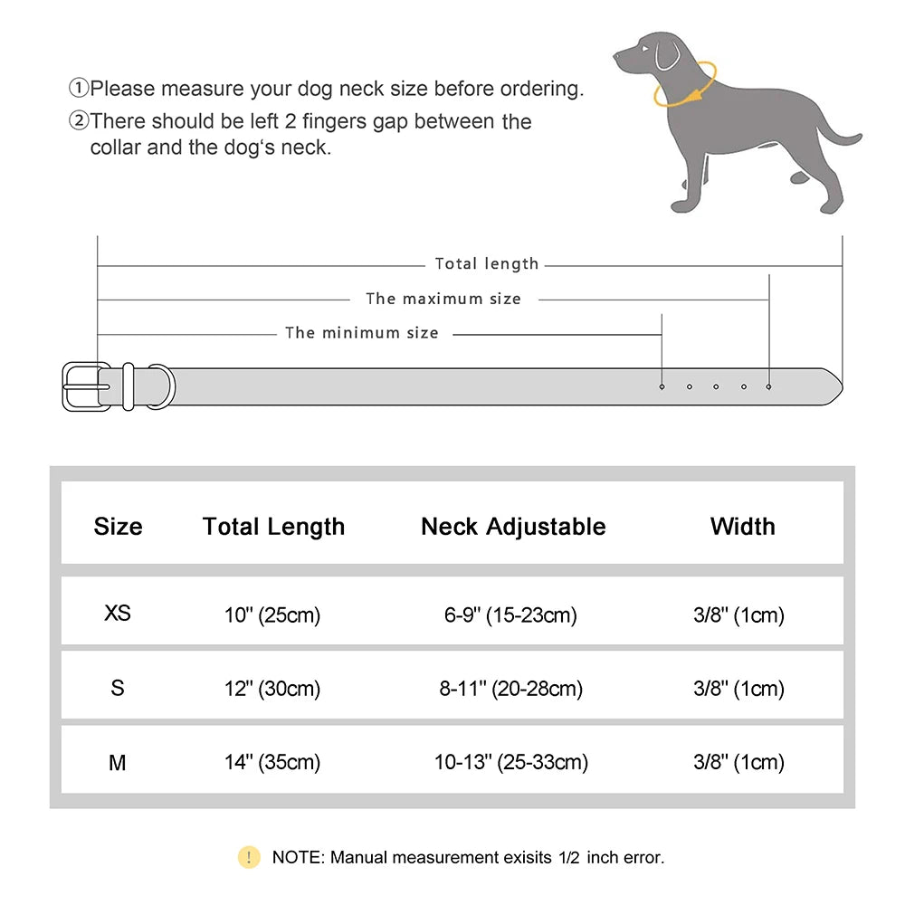 Collar de identificación gaticos.